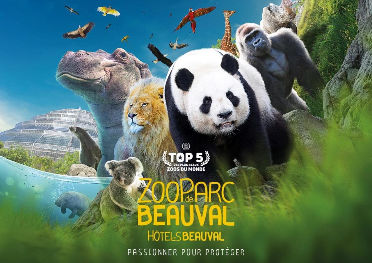 Studio Paon D'Or, 5 Minutes Du Zooparc De Beauval Saint-Aignan  Exterior foto